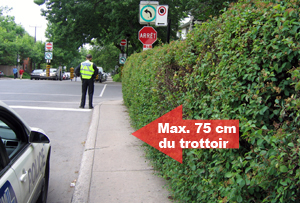 R&egrave;glement sur les haies CND/NDG