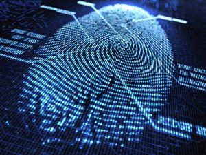 Fraude d'identit&eacute;