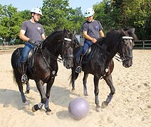 H&eacute;ros and Black Jack in training